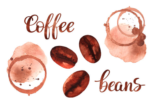istock Food and drink illustration watercolor 1204375479