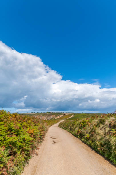 istock Sark, Channel Islands, England in summer 1204377017