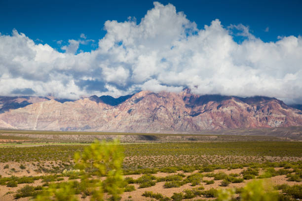 istock Andes  near NR 7 road 1204377700