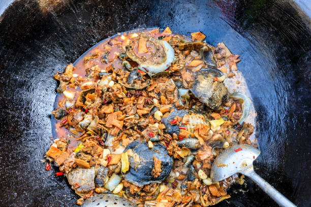 istock Delicious braised turtle in a pan. 1204379203