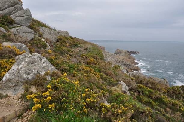 istock The coast between 
