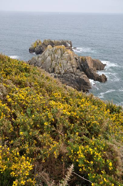 istock The coast between 