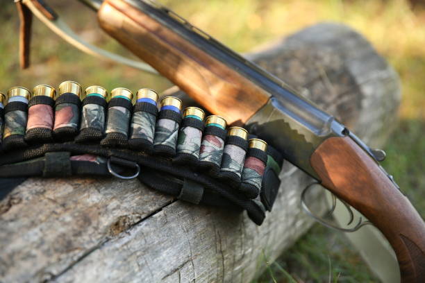 istock hunting cartridges in a bandoleer 1204379946