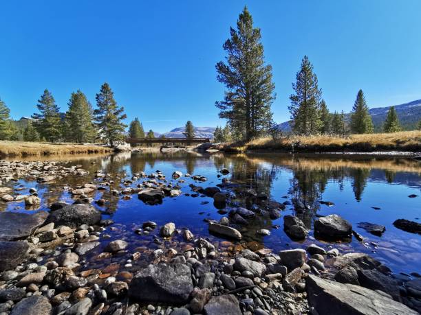 istock Yosemite National Park 1204380561