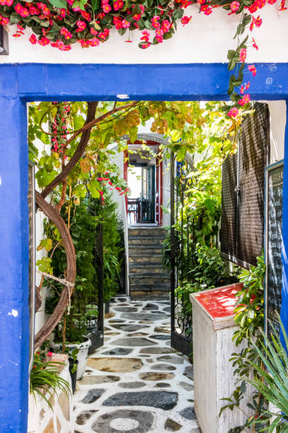 istock Doorway to a shady terrace 1204384177