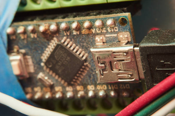 istock Close-up of garland chip. Macro chip 1204387281