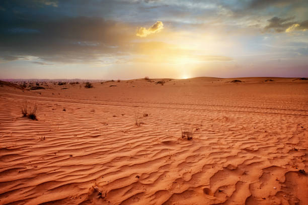 istock Desert sunset and sand dunes in Dubai 1204387302