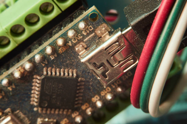 istock Close-up of garland chip. Macro chip 1204387375