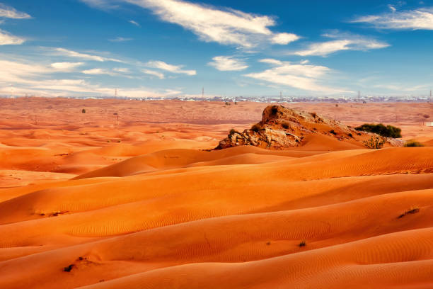 istock Desert landscape and sand dunes 1204388522