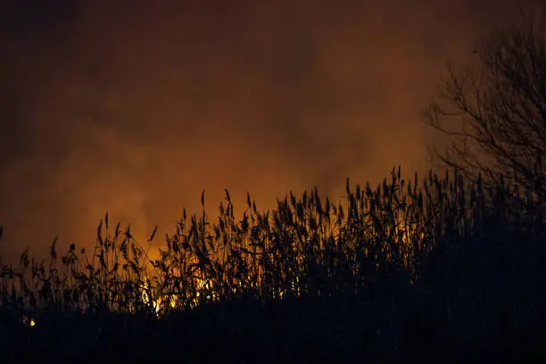 Photo of Dry grass burns at night. Pastures and meadows in the countryside. Environmental disaster to which prychesni irresponsible people. Luxurious mystical night landscapes shot on a 300mm lens.