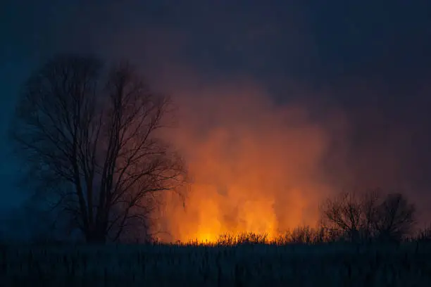 Photo of Dry grass burns at night. Pastures and meadows in the countryside. Environmental disaster to which prychesni irresponsible people. Luxurious mystical night landscapes shot on a 300mm lens.