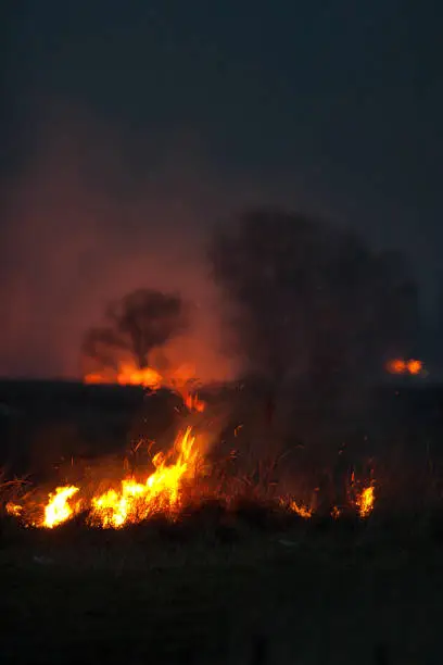 Photo of Dry grass burns at night. Pastures and meadows in the countryside. Environmental disaster to which prychesni irresponsible people. Luxurious mystical night landscapes shot on a 300mm lens.