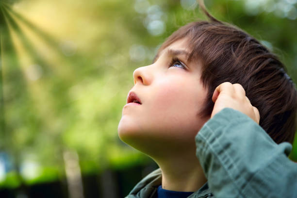 Caucasian little boy looking up at the sky in the forest with curious or careful expression Caucasian little boy looking up at the sky in the forest with curious or careful expression. cute child face expressions side view stock pictures, royalty-free photos & images