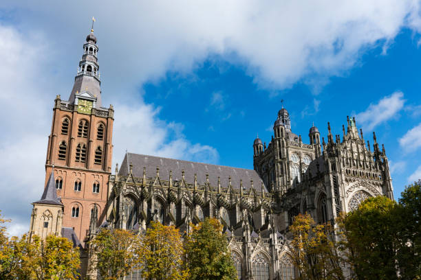 собор святого яна в ден-боше, нидерланды - gotic стоковые фото и изображения