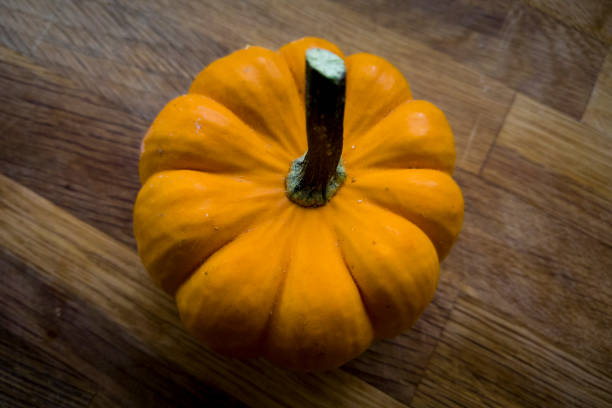 istock organic pumpkins close shot photo 1204390721