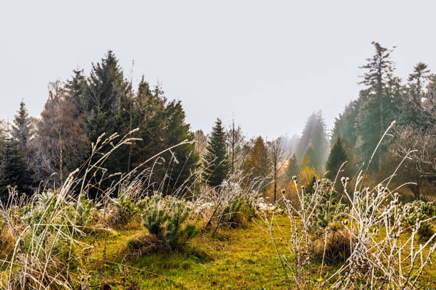 istock Scenic panorama in Bavaria 1204394064
