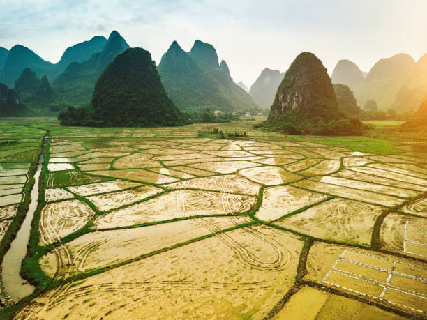 istock Rice fields scenery karst landscape of Guilin, China 1204394604