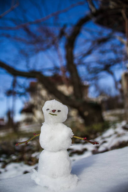 istock Little snowman with branches as hands 1204400097