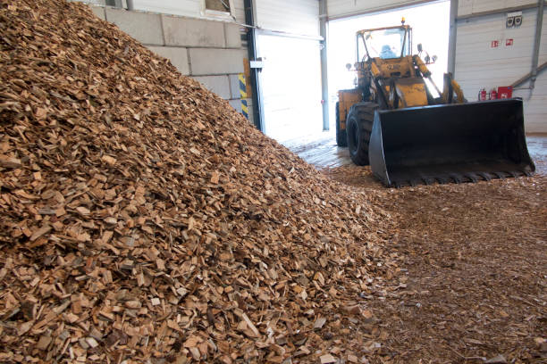 istock wood chips lying on the heap 1204401979