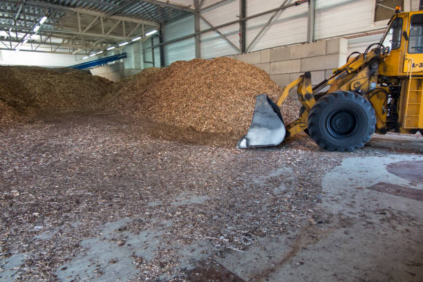 istock wood chips lying on the heap 1204402616