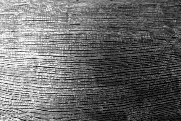 Weathered wooden board texture in black and white. Abstract background and texture for design.