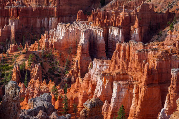 istock Bryce Canyon National Park, Utah, USA 1204403587