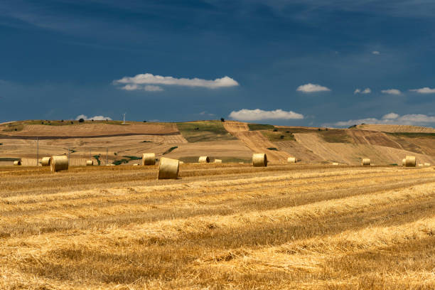 istock Rural landscape in Basilicata at summer 1204404813