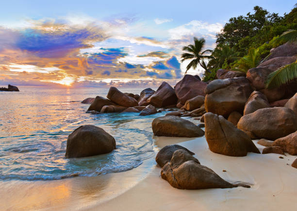 istock Seychelles tropical beach at sunset 1204407804