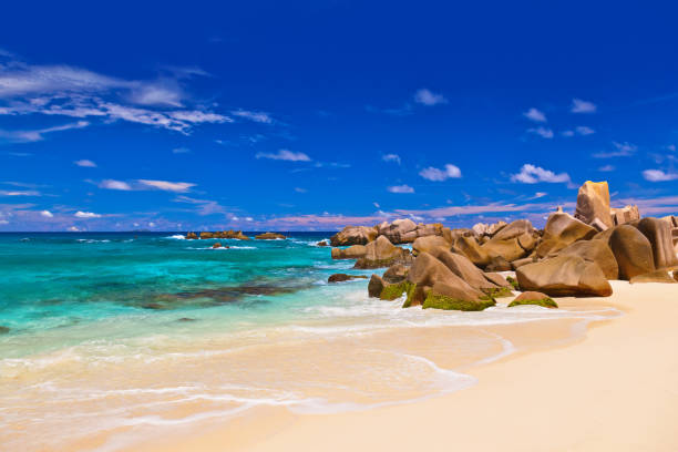 istock Tropical beach at Seychelles 1204408179