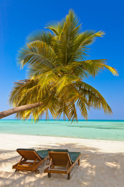 Maldives beach Maldives beach - nature vacation background water bungalow maldives stock pictures, royalty-free photos & images