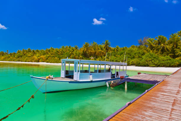 istock Tropical island and boat 1204410142