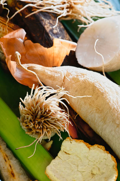 istock View into a bio container with organic wastes for recycling. 1204411463