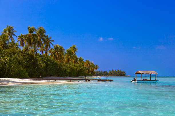 istock Jetty on Maldives island 1204411570