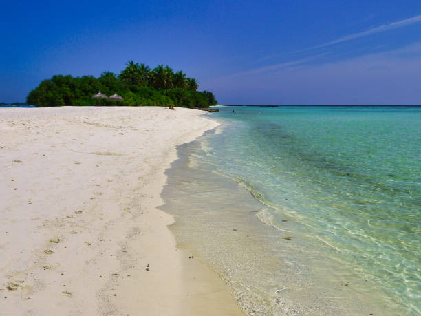 istock Beach with palm trees - Kuramathi Maldives 1204418215