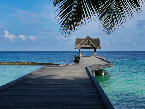 istock Footbridge into the sea - Kuramathi Maldives 1204418292