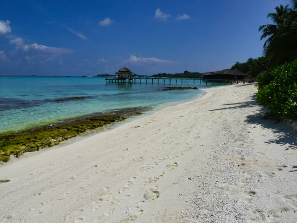 istock Beach with palm trees - Kuramathi Maldives 1204418300