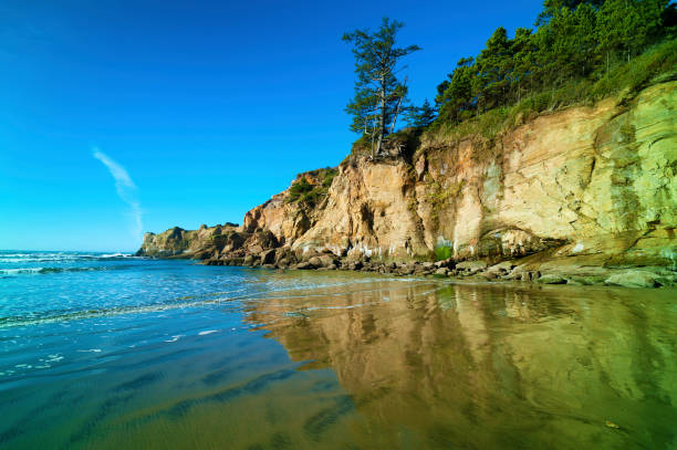 istock Roads End Park On Oregon Coast 1204418332