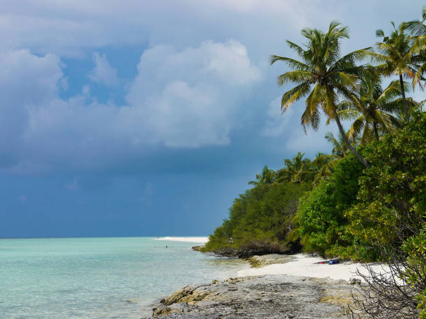 istock Beach with palm trees - Kuramathi Maldives 1204418615