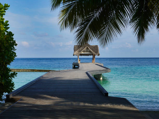 istock Footbridge into the sea - Kuramathi Maldives 1204418623
