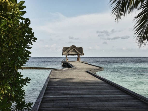 istock Footbridge into the sea - Kuramathi Maldives 1204418867