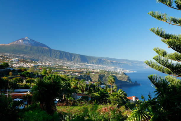 istock Orotava Valley and Mount Teide, Tenerife, Canary Islands, Spain 1204420215
