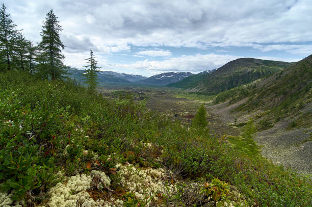 istock Wilderness with mountains and hills. 1204421591