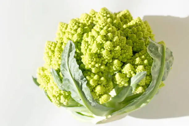 Photo of Roman broccoli broccoli, Roman cauliflower, broccoflower, Romanesco,