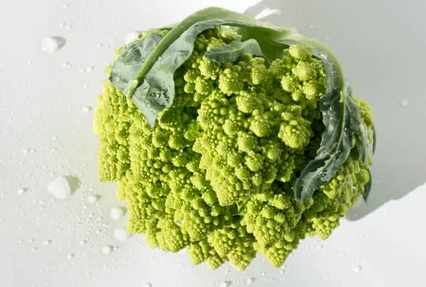 Photo of Roman broccoli broccoli, Roman cauliflower, broccoflower, Romanesco,