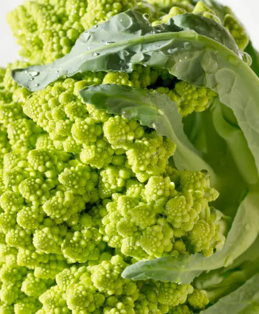 Photo of Roman broccoli broccoli, Roman cauliflower, broccoflower, Romanesco,