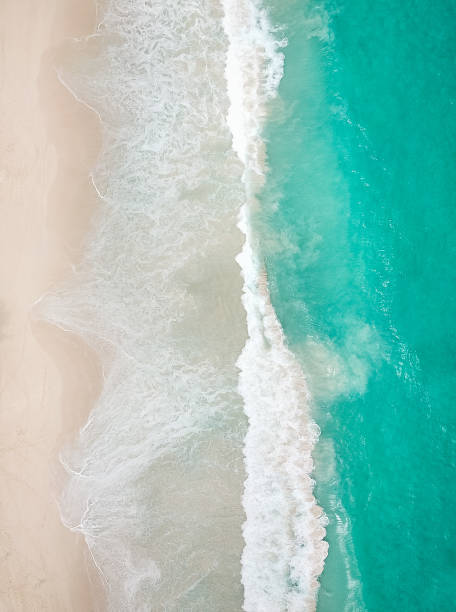 istock Paradise Beach and Waves from Above 1204422100