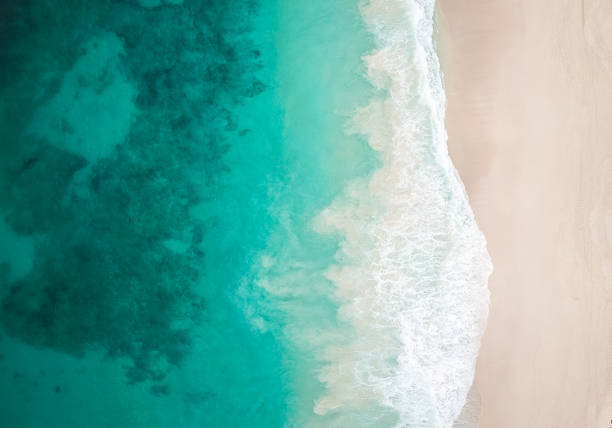 Paradise Beach and Waves from above drone shot aerial view