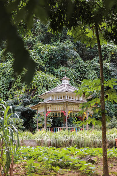 istock Vegetable Garden with Pavilion 1204422127