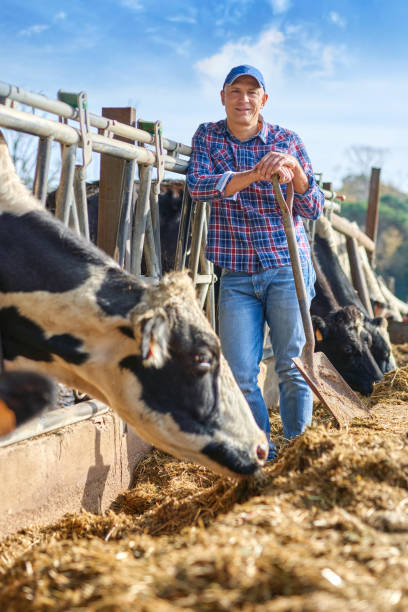 istock Portrait of a man on livestock ranches. 1204423741