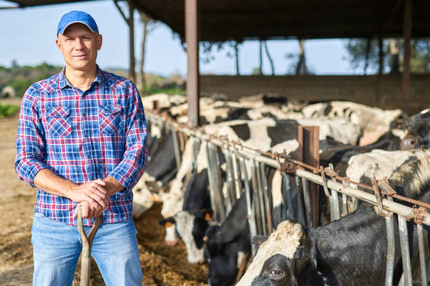 istock Portrait of a man on livestock ranches. 1204424049